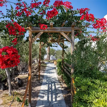 Anema Boutique Hotel & Villas Santorini-3
